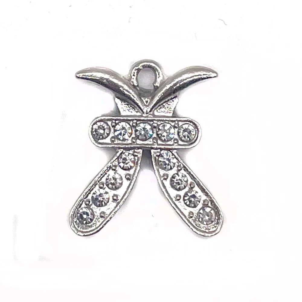 the Zodiac Metal Bling Rhinestone Shiny Silvery Shoe Charms for Clogs Sandals Decoration Shoe Buckle for Girls Gif