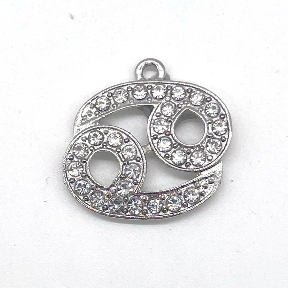 the Zodiac Metal Bling Rhinestone Shiny Silvery Shoe Charms for Clogs Sandals Decoration Shoe Buckle for Girls Gif