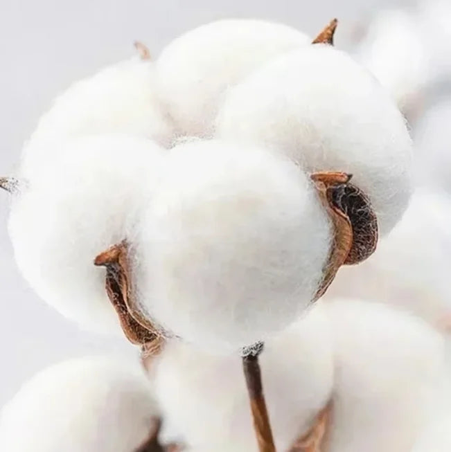 2025 Wu-tang Printed American Retro High Street Short Sleeve T-shirt Washed To Make Old Heavy Cotton Top High Quality Oversize