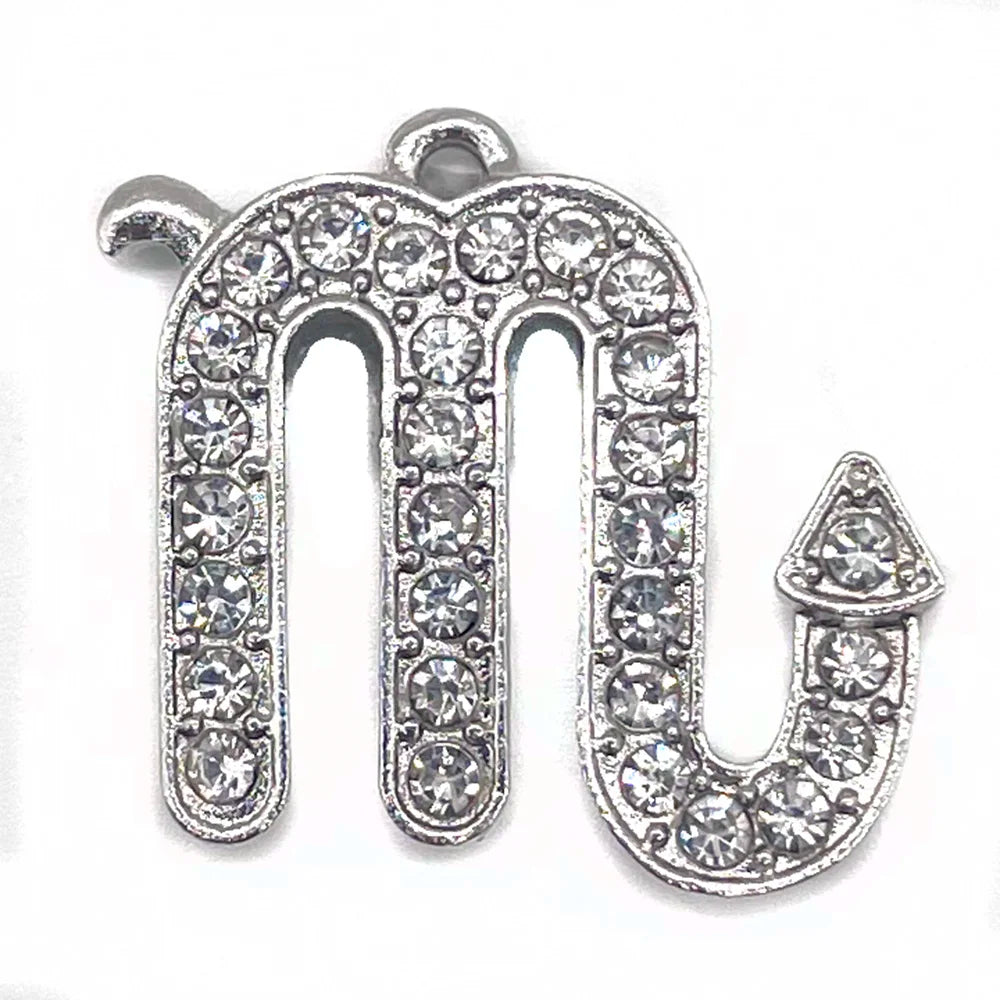 the Zodiac Metal Bling Rhinestone Shiny Silvery Shoe Charms for Clogs Sandals Decoration Shoe Buckle for Girls Gif