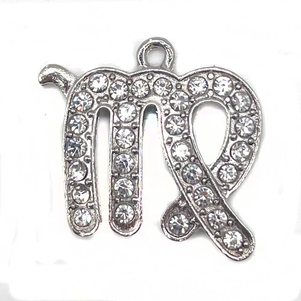 the Zodiac Metal Bling Rhinestone Shiny Silvery Shoe Charms for Clogs Sandals Decoration Shoe Buckle for Girls Gif