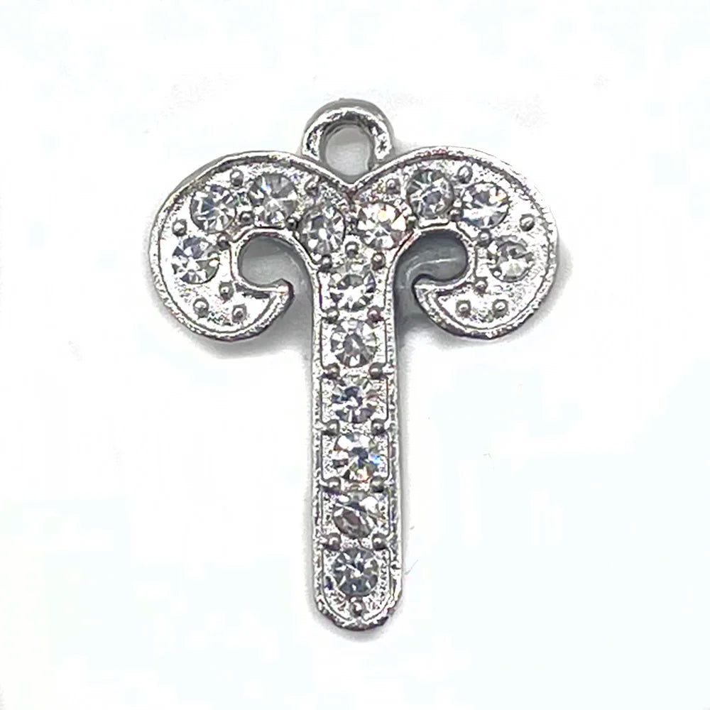 the Zodiac Metal Bling Rhinestone Shiny Silvery Shoe Charms for Clogs Sandals Decoration Shoe Buckle for Girls Gif