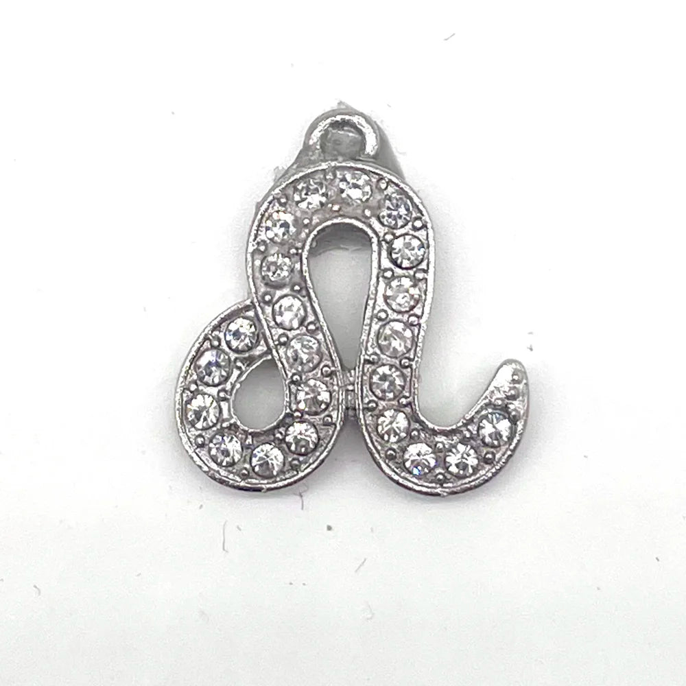 the Zodiac Metal Bling Rhinestone Shiny Silvery Shoe Charms for Clogs Sandals Decoration Shoe Buckle for Girls Gif